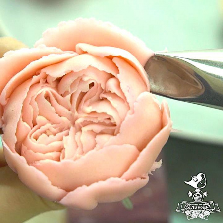 Кондитерские насадки лепесток розы изогнутый №120, 121, 122, 123 Tulip™ | набор 4 шт | средний размер