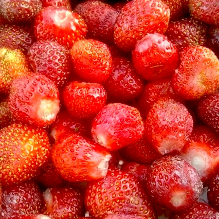 Клубника сухой сок (порошок) Клубника сухой сок (порошок)